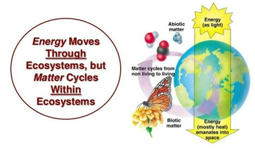 Energy & Matter Cycles